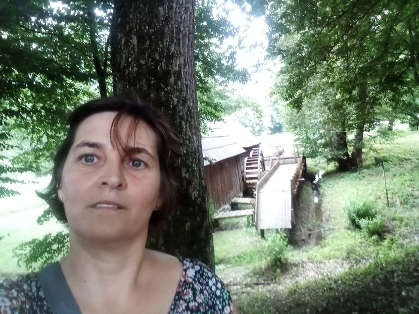  - Sibiu brasov