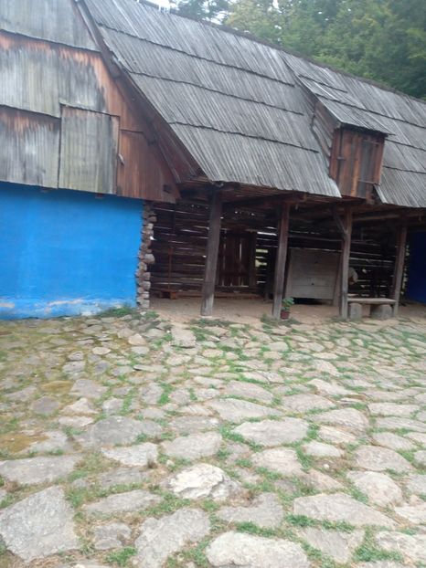  - Sibiu brasov