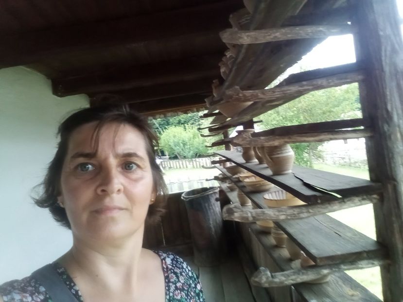  - Sibiu brasov