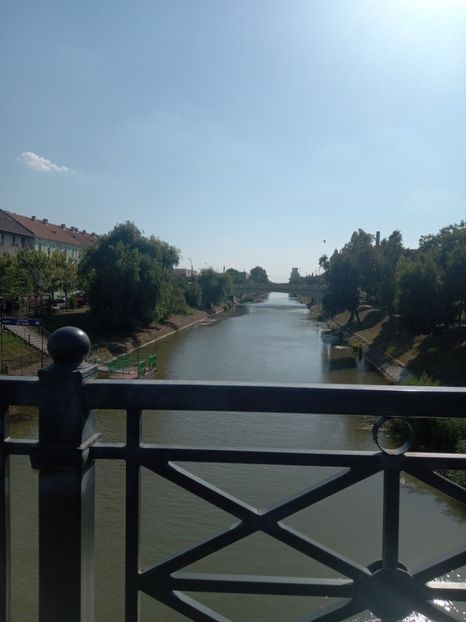  - Timisuara 12iulie
