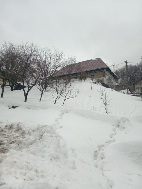  - Altele poze