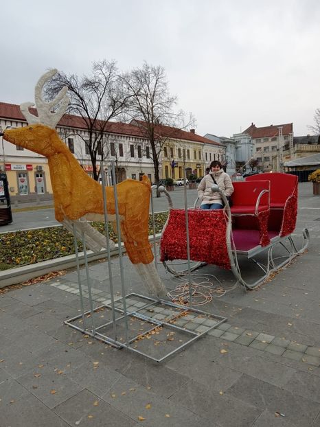 IMG-20231203-WA0009 - Poze cu ema