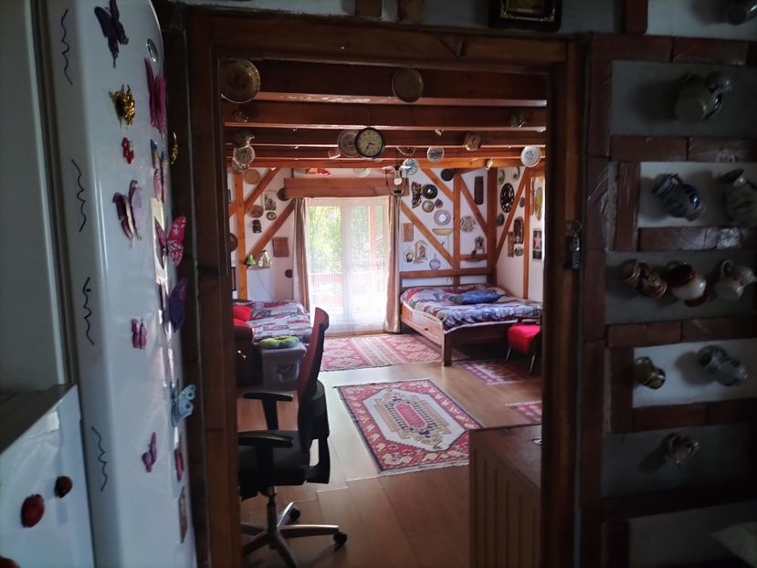 IMG20240722153757 - Interior si exterior la casa de la tara