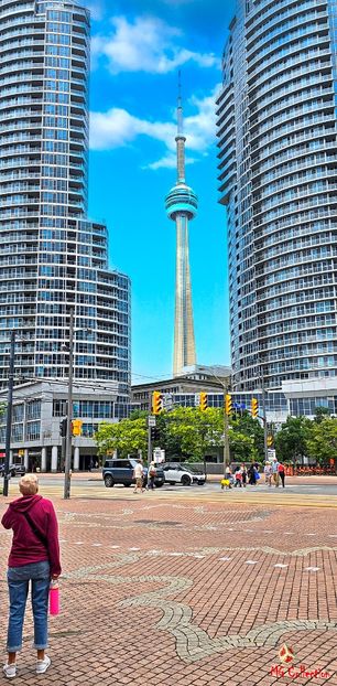 CN Tower Toronto 2 - TORONTO