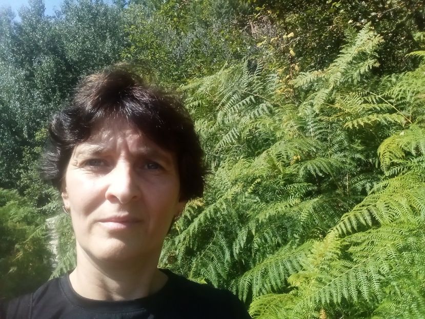  - Mai multe