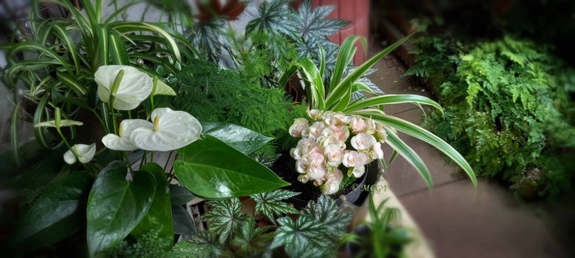 © - 2024 - 02 - Vara