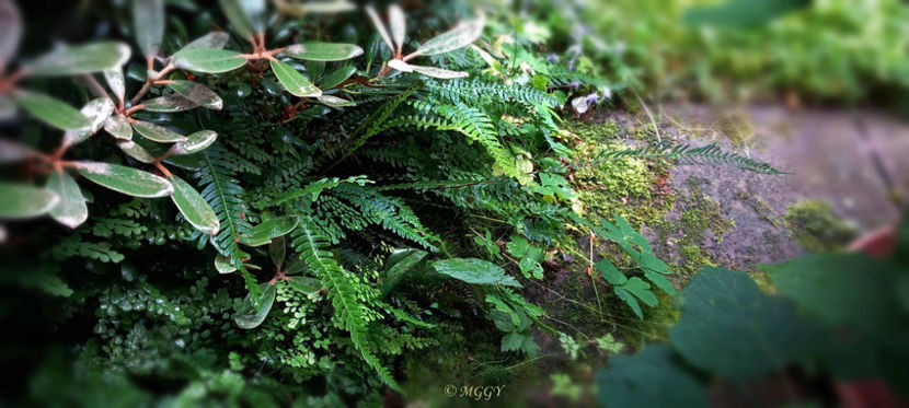 © - 2024 - 02 - Vara