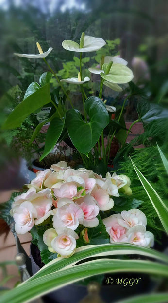 © - 2024 - 02 - Vara