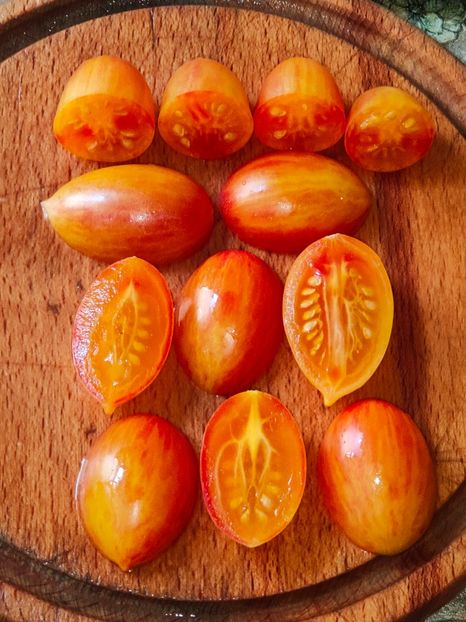 ARTISAN BLUSH TIGER (22) - ARTISAN BLUSH TIGER