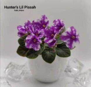 Poza net - Hunter s Lil Pissah