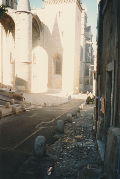 Catedrala Sf Petru - Montpellier