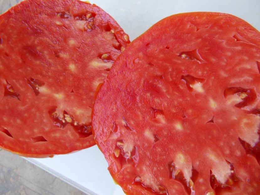  - SEMINTE ROSII - T 1038 ROSIE DE GORJ