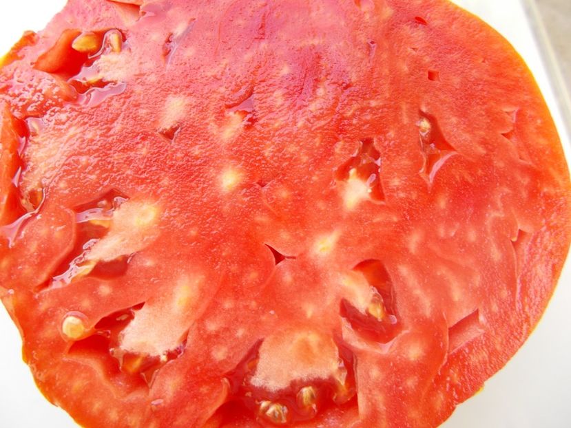  - SEMINTE ROSII - T 1038 ROSIE DE GORJ