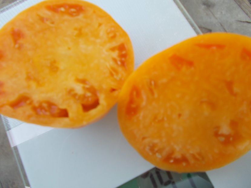  - SEMINTE ROSII - T 1121 OXHEART ORANGE