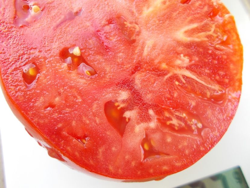  - SEMINTE ROSII - T 1048 ROSIE DE MEHEDINTI