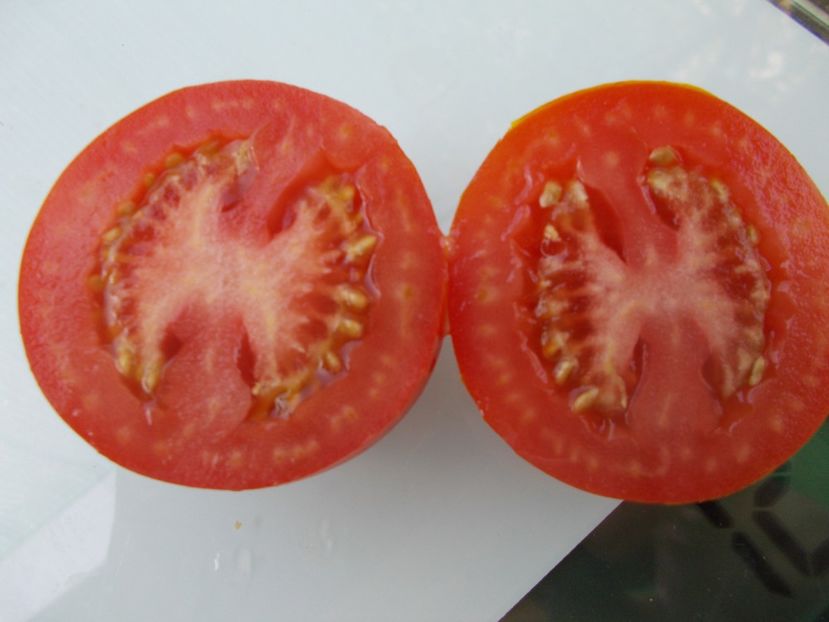  - SEMINTE ROSII - T 1095 DE BARAO FAT-SHAPED