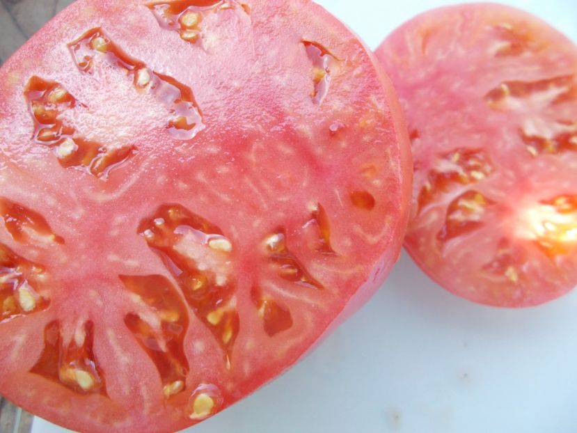  - SEMINTE ROSII - T 1092 BATIANYA