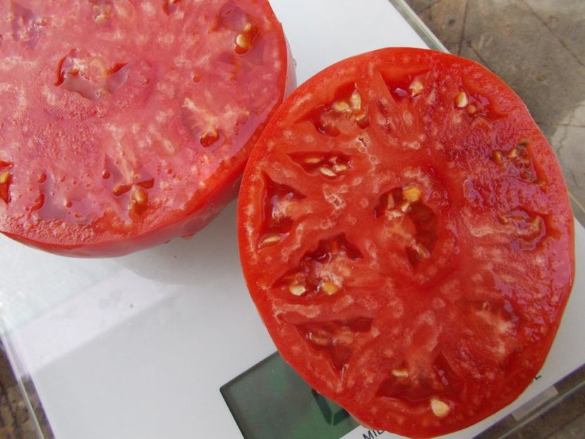  - SEMINTE ROSII - T 1036 HARBUZESTI