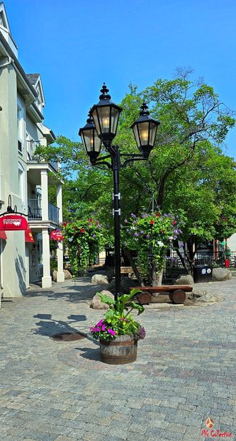 Centre de la ville 6 - MONT TREMBLANT - QC