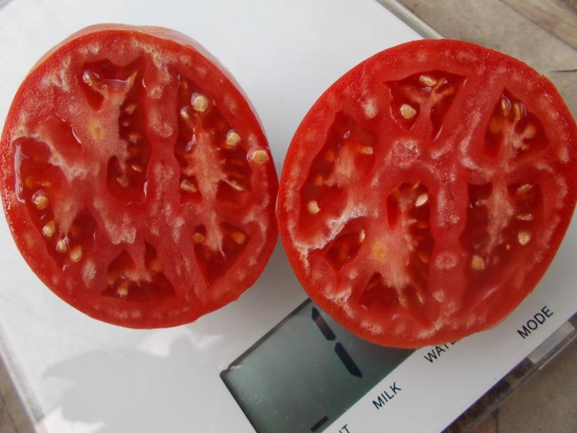  - SEMINTE ROSII - T 1067 KARDINAL