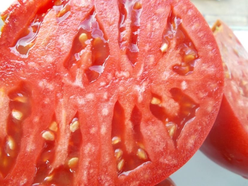  - SEMINTE ROSII - T 1067 KARDINAL