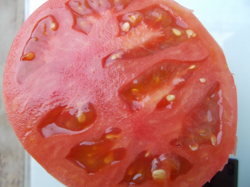  - SEMINTE ROSII - T 1061 BIDEN HEART