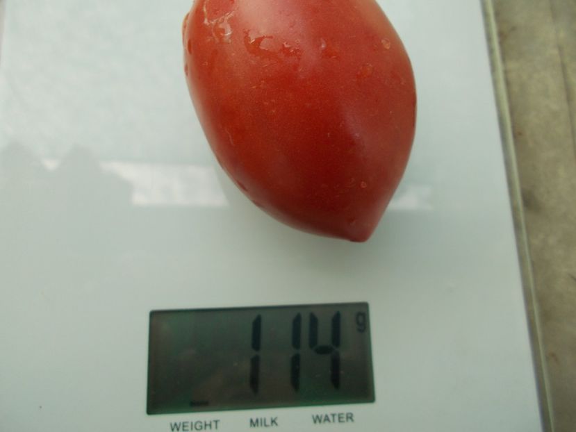  - SEMINTE ROSII - T 1059 RASPBERRY TOMATO PEPPER