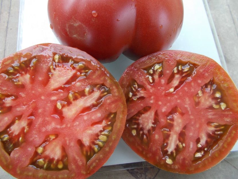  - SEMINTE ROSII - T 1060 CHOCOLATE AMAZON