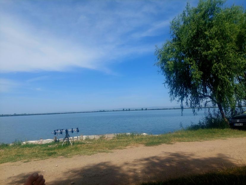 boldesti 2024 - BALTI