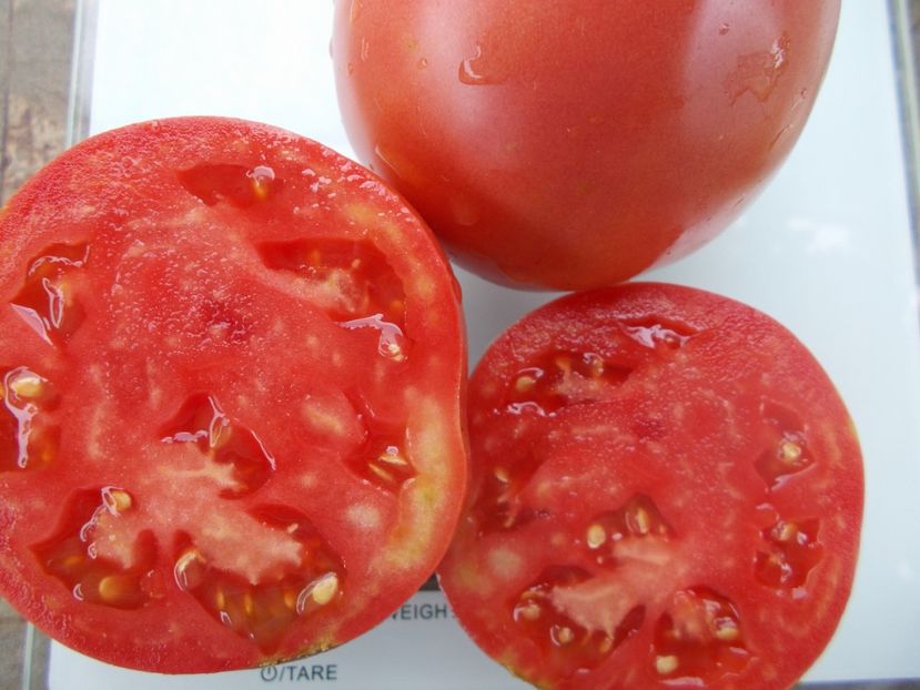  - SEMINTE ROSII - T 1068 HEART OF ROME