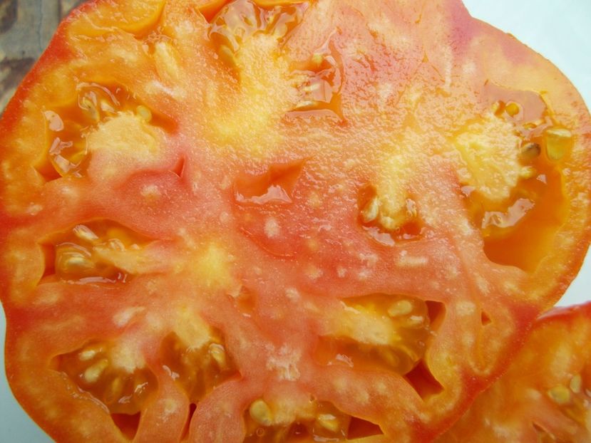  - SEMINTE ROSII - T 1133 YELLOW BRIMMER