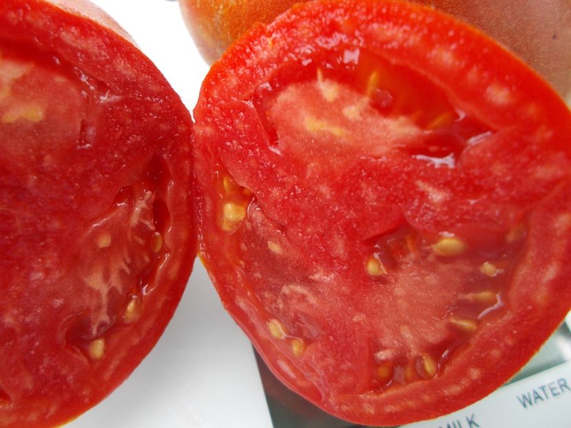  - SEMINTE ROSII - T 1130 SCEHERAZADE