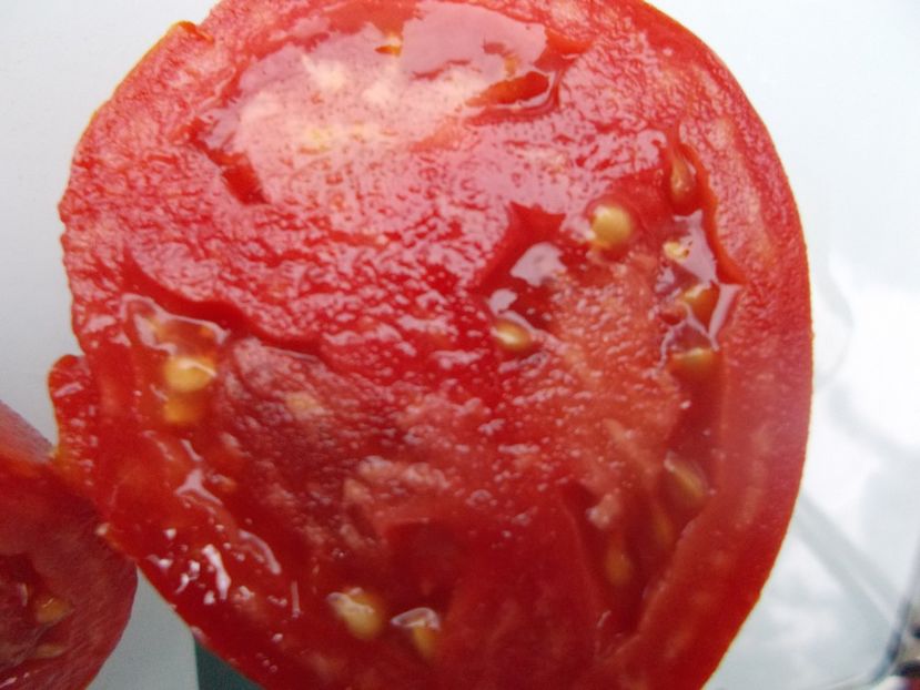  - SEMINTE ROSII - T 1130 SCEHERAZADE