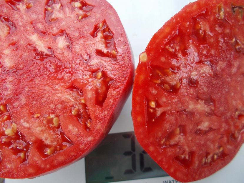  - SEMINTE ROSII - T 1066 BULL S HEART PINK