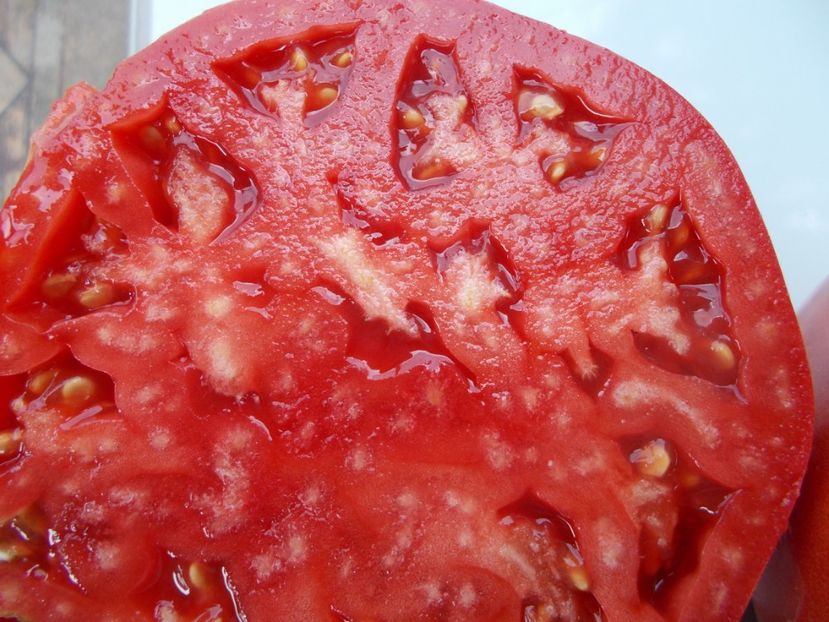  - SEMINTE ROSII - T 1066 BULL S HEART PINK