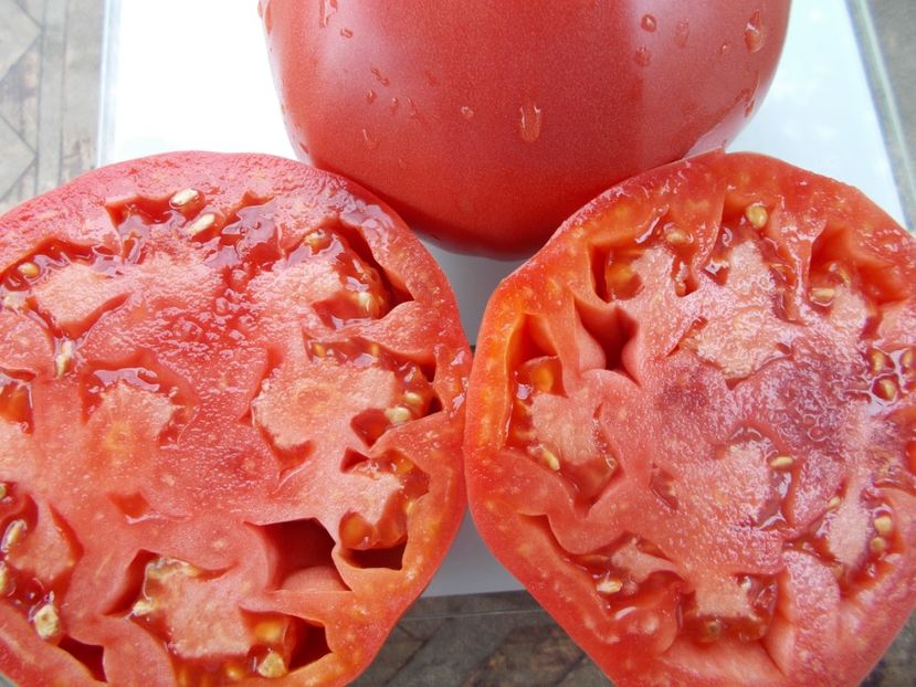  - SEMINTE ROSII - T 1068 HEART OF ROME