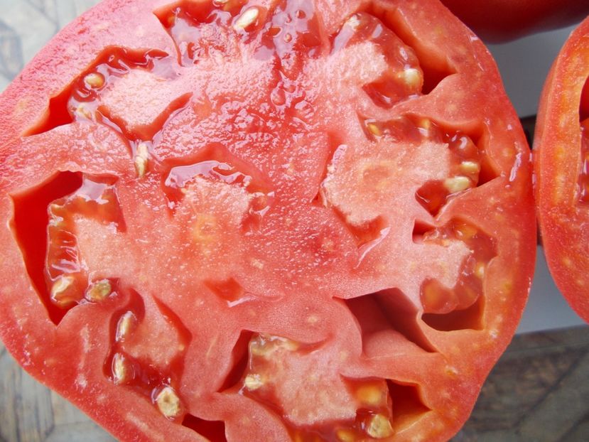  - SEMINTE ROSII - T 1068 HEART OF ROME