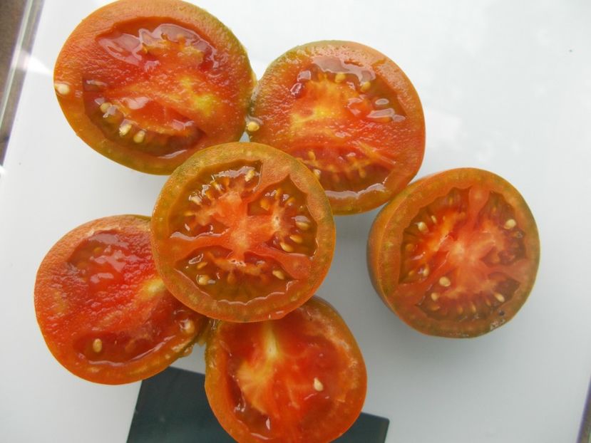  - SEMINTE ROSII - T 1126 EVIL OLIVE