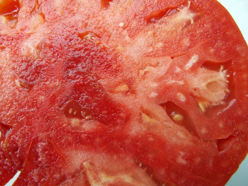  - SEMINTE ROSII - T 1032 ROSIE DE DEVA