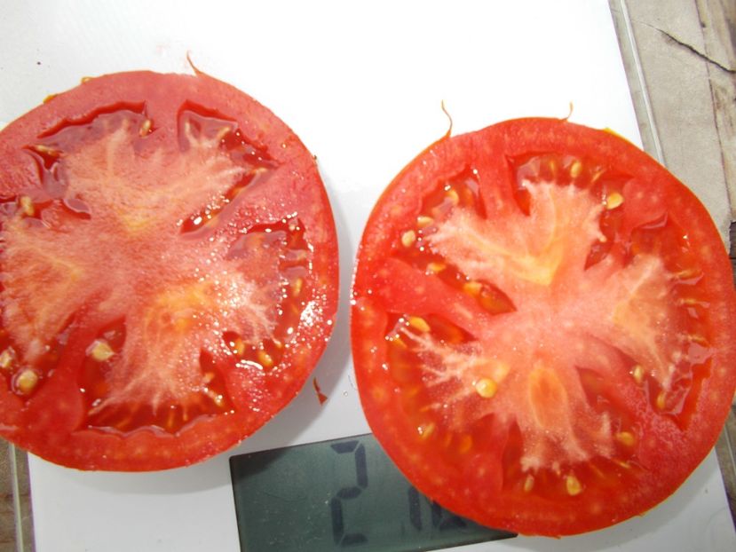  - SEMINTE ROSII - T 1129 ROSII DE SALATA
