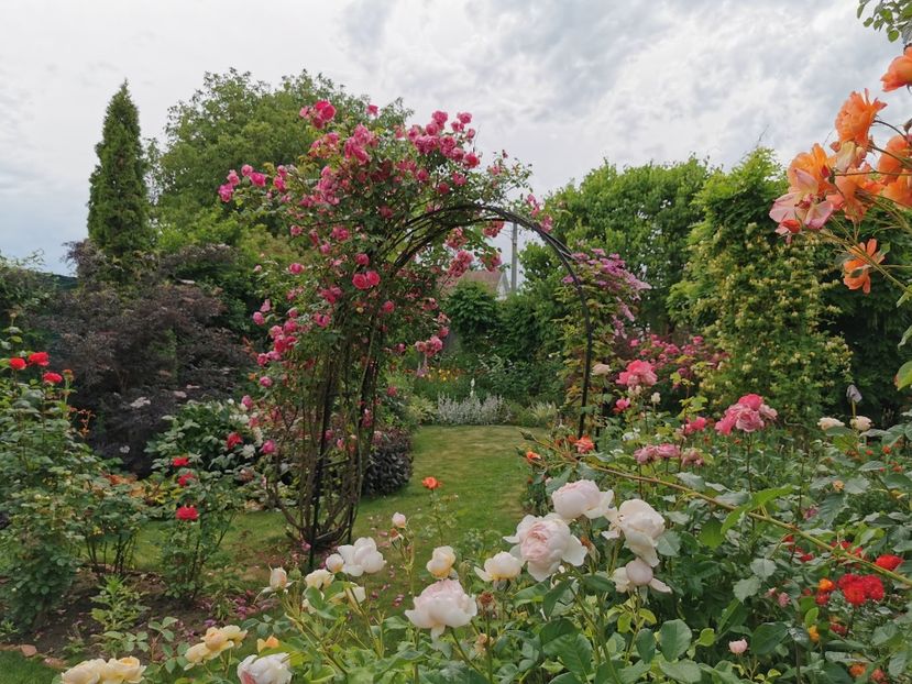  - Gradina 2024