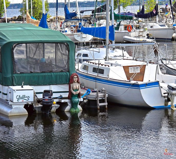 Marina Gatineau 7, QC - D - CARS - BIKES - BOATS