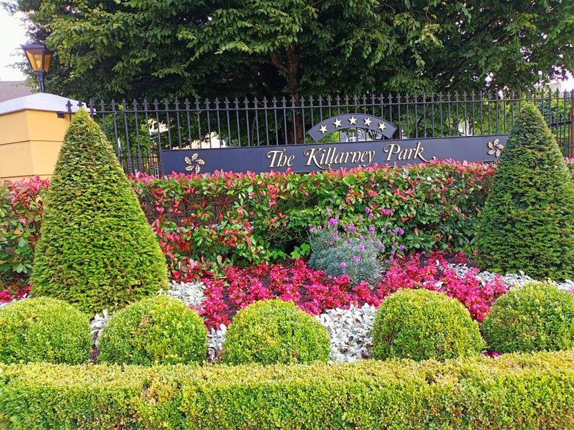 IMG20240727143158 - 3 Cork-fabrica Jameson-Ring of Kerry - Killarney