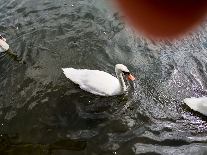 IMG20240802131323 - 9 Lincoln - Stratford upon Avon - Oxford