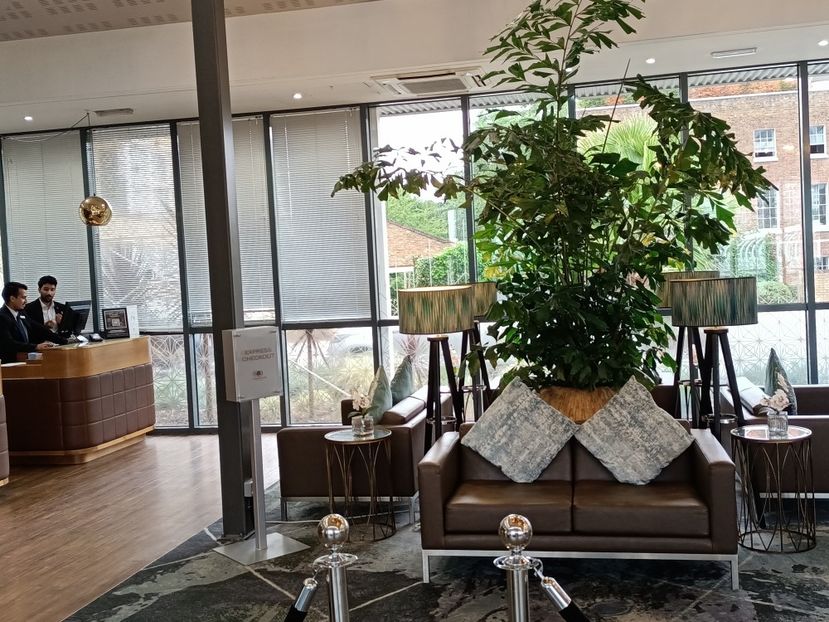 IMG20240803083802 - 10 Londra