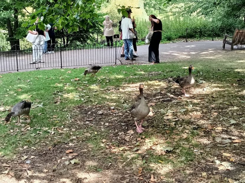 IMG20240803115930 - 10 Londra