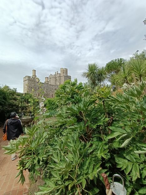 IMG20240804115221 - 10 Londra