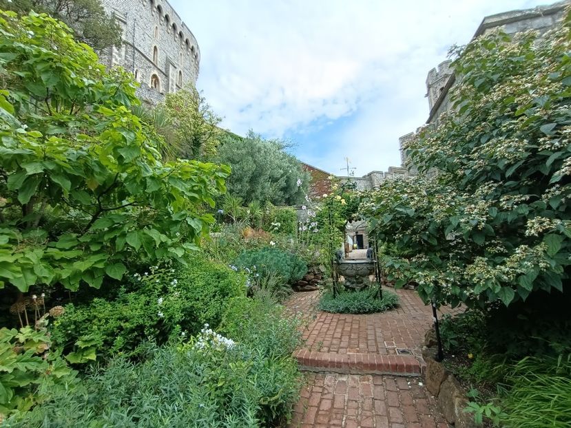 IMG20240804115432 - 10 Londra