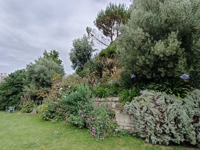 IMG20240804115808 - 10 Londra