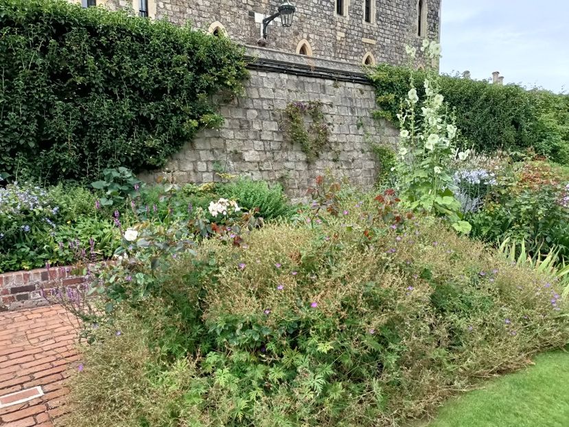 IMG20240804115843 - 10 Londra